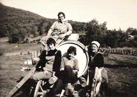 Weinlese Tschangerang.gif